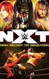 NXT: From Secret To Sensation