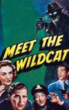 Meet the Wildcat