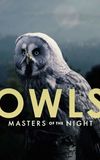 Owls: Masters of the Night