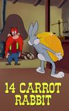 14 Carrot Rabbit