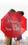 A Rainy Day in New York