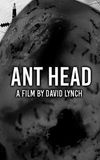 Ant Head