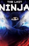 The Last Ninja