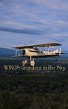 Wings: Grandeur in the Sky