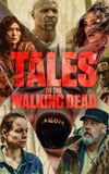 Tales of the Walking Dead