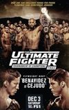 The Ultimate Fighter 24 Finale