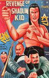 Revenge Of The Shaolin Kid