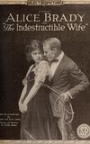 The Indestructible Wife