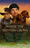 Where the Red Fern Grows