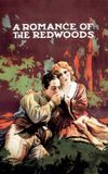 A Romance of the Redwoods