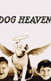 Dog Heaven