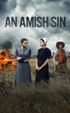 An Amish Sin