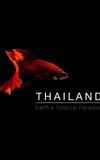 Thailand: Earth's Tropical Paradise