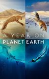 A Year on Planet Earth