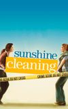 Sunshine Cleaning