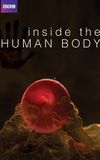 Inside the Human Body