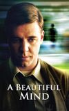 A Beautiful Mind