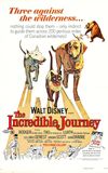 The Incredible Journey