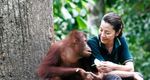 Among the Great Apes with Michelle Yeoh