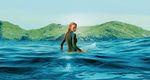 The Shallows