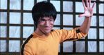 Bruce Lee: A Warrior's Journey