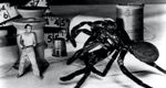 The Incredible Shrinking Man