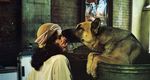 Won Ton Ton: The Dog Who Saved Hollywood