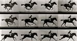 Eadweard