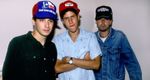 Beastie Boys: Video Anthology