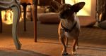 Beverly Hills Chihuahua 3: Viva la Fiesta!