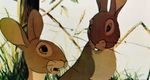 Watership Down