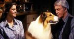 The Magic of Lassie