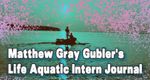 Matthew Gray Gubler's Life Aquatic Intern Journal