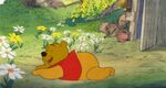 Winnie the Pooh Discovers the Seasons