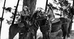 Cyclone on Horseback