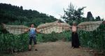 The Bird People in China