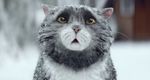 Sainsbury's: Mog's Christmas Calamity