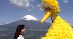 Big Bird in Japan