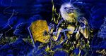 The History Of Iron Maiden - Part 2: Live After Death